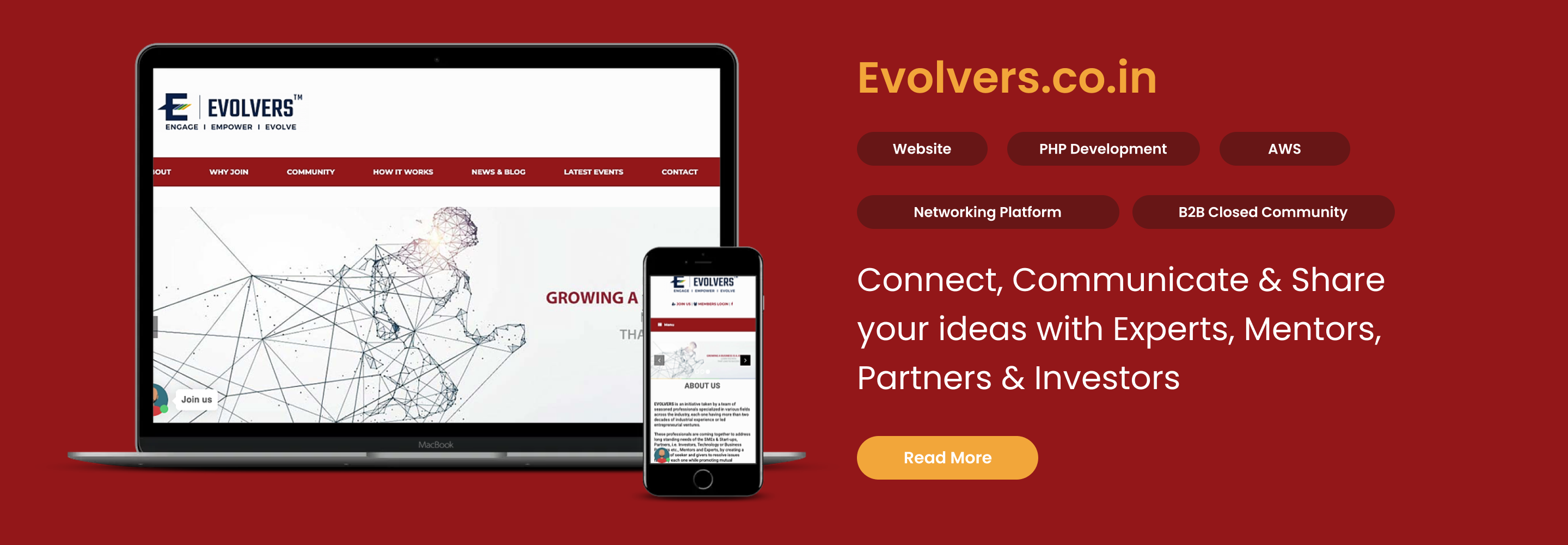 evolvers web development